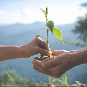 Safe and Supportive Environment.